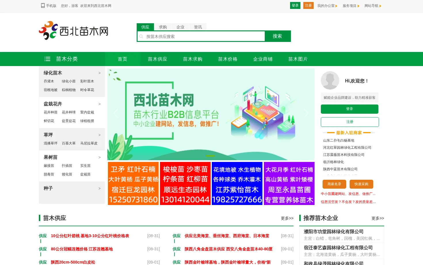 西北苗木网 页面快照